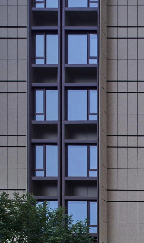 老城社區煥新記 寧波金地華章府