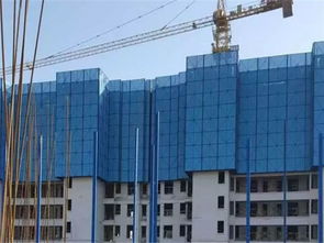 爬架網(wǎng)片 質(zhì)優(yōu)價(jià)廉 鍍鋅爬架網(wǎng)片廠